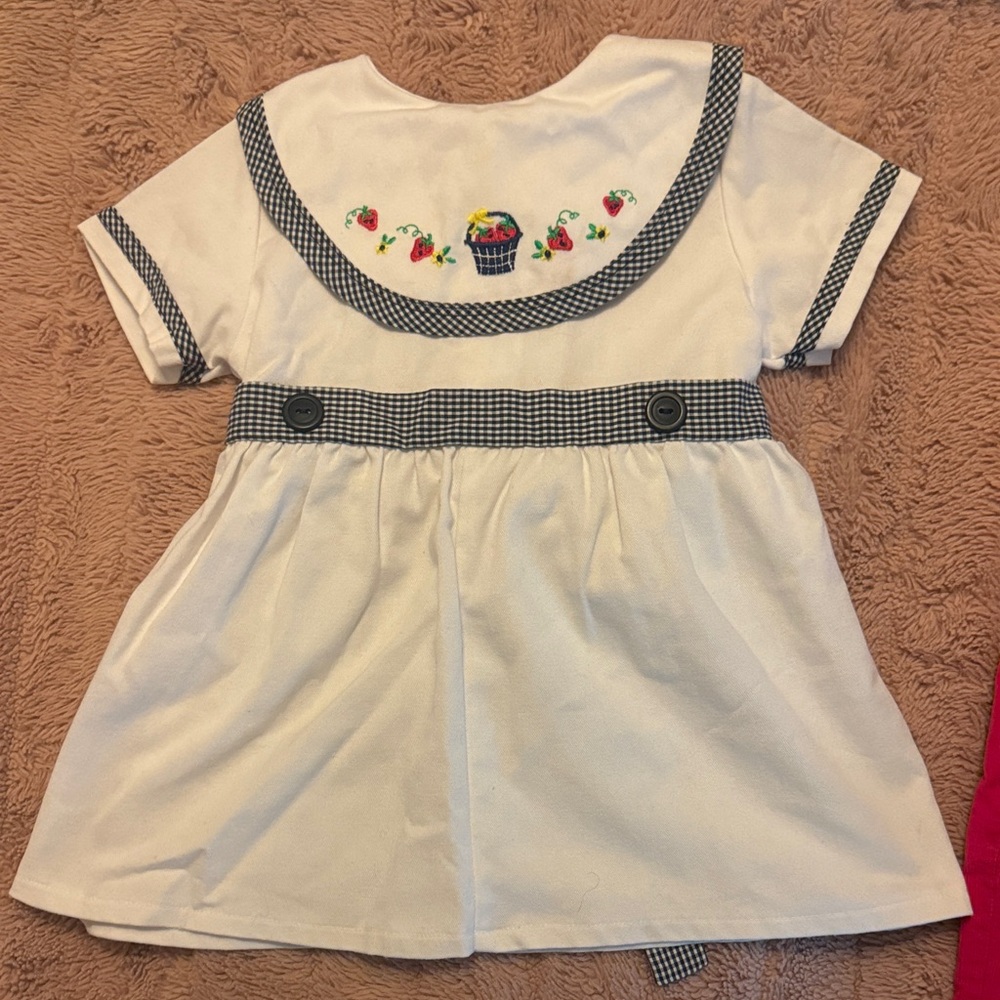 Adorable White and Navy Gingham Little Girls Embroidered Dress